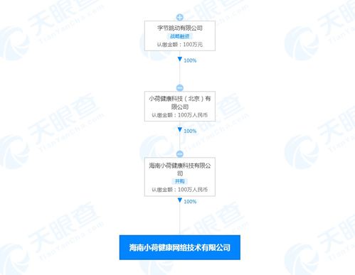 海南小荷健康網(wǎng)絡(luò)技術(shù)有限公司成立，布局遠(yuǎn)程健康管理及網(wǎng)絡(luò)文化服務(wù)